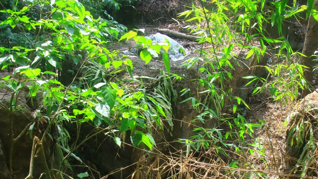 বগুড়ায় তেলের খনির বিষয়ে যা জানা গেল