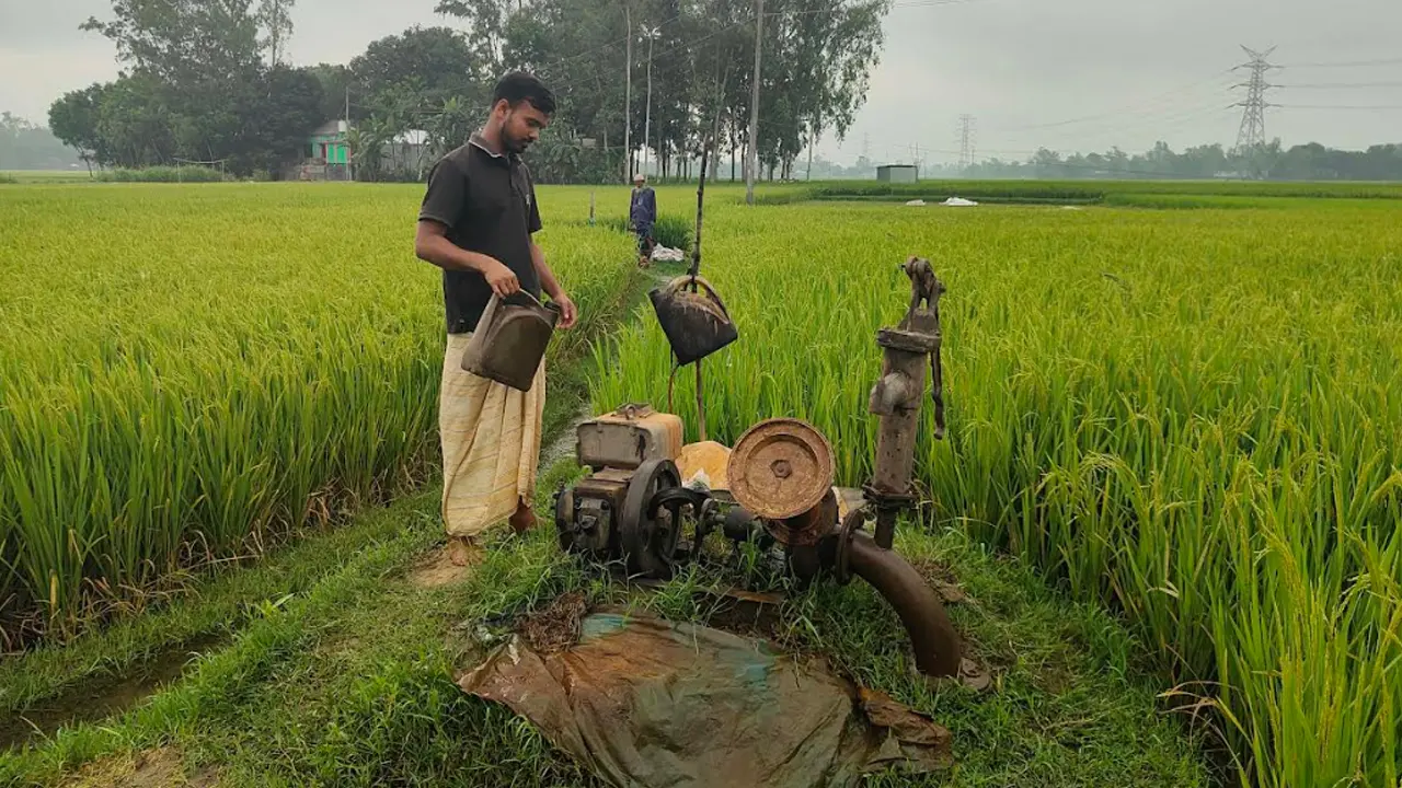 সেচের তেল নিয়ে আতঙ্ক, চুরির ভয়ে বাড়িতেই মজুত কৃষকদের
