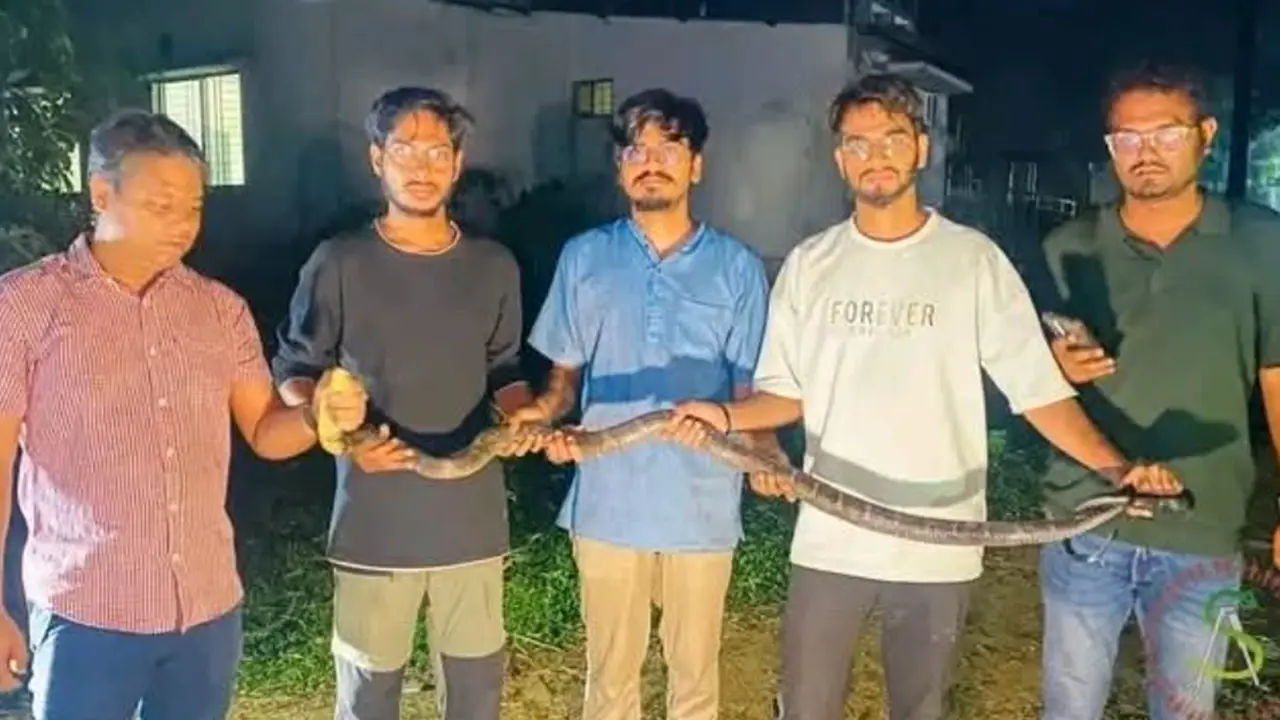 চট্টগ্রাম বিশ্ববিদ্যালয়ে ৮ ফুট লম্বা বিষধর সাপ উদ্ধার