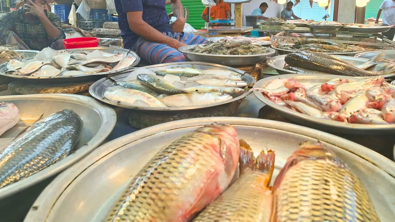 ২০০ টাকার নিচে নেই কোনো মাছ