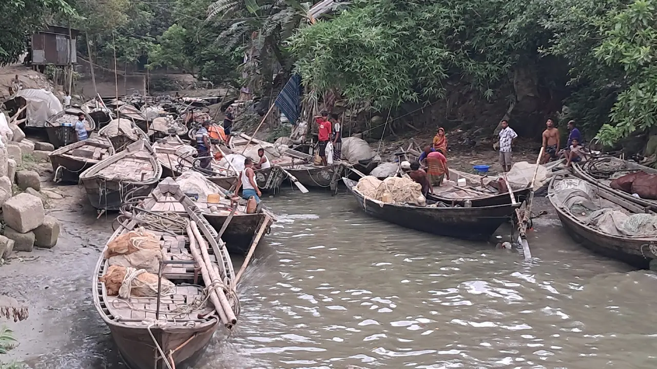 নিষেধাজ্ঞা শেষ, বৃহস্পতিবার মধ্যরাত থেকে ইলিশ ধরা শুরু
