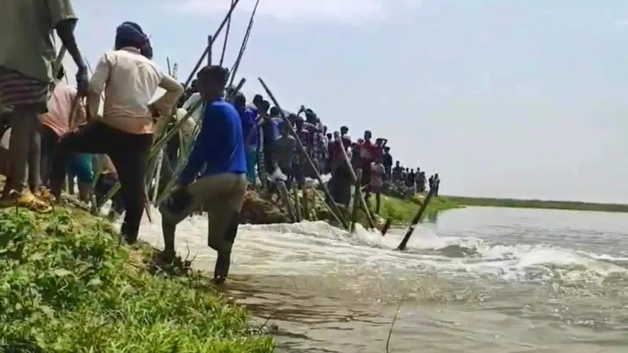 কৃষকদের আপ্রাণ চেষ্টায় রক্ষা পেল দেখার হাওরের বোরো ধান