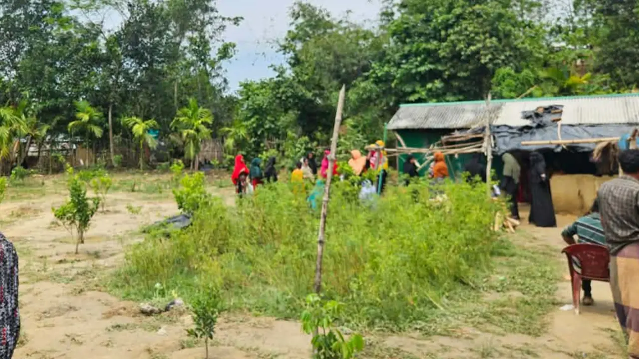 কক্সবাজারে বন্য হাতির তাণ্ডবে প্রাণ গেল ঘুমন্ত মা–মেয়ের