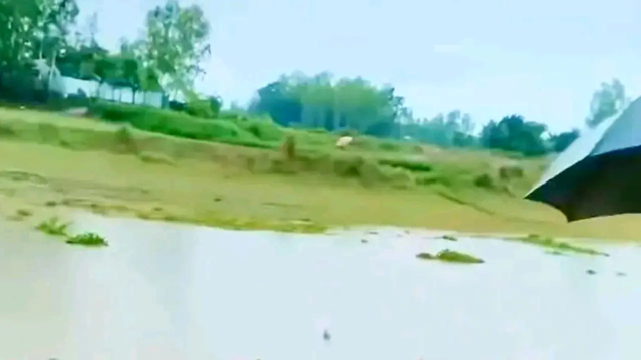 জামালপুরে বজ্রপাতে দুইজনের মৃত্যু