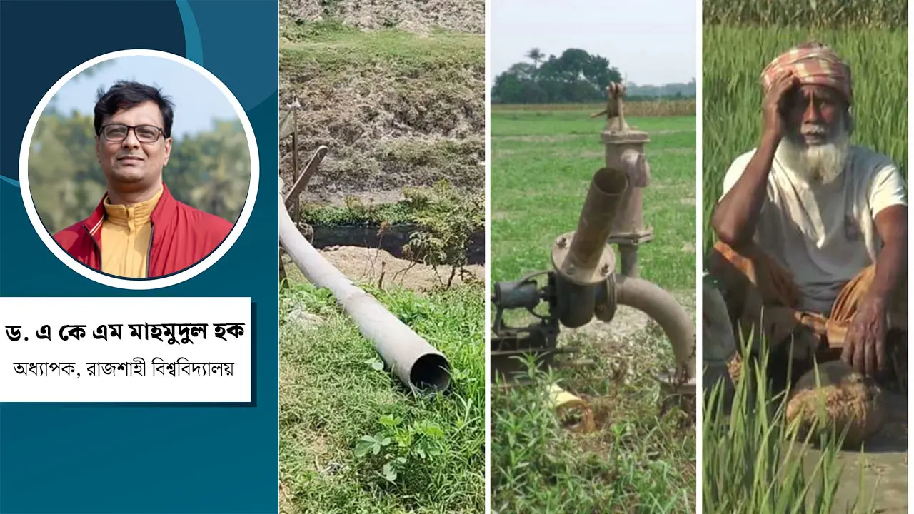 বিদ্যুৎ ও জ্বালানি সংকট : কৃষি ও অর্থনীতির বহুমাত্রিক ঝুঁকি