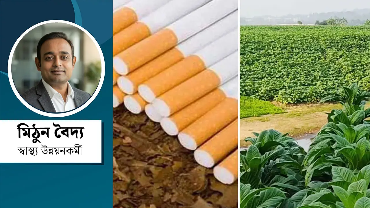 তামাক চোরাচালান : ভয়ের আড়ালে প্রকৃত সত্য, প্রয়োজন কার্যকর সমাধান