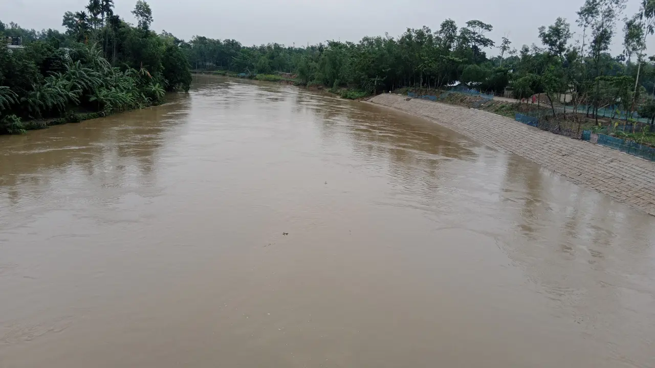 মৌলভীবাজারে পানি নামতেই ক্ষতির চিহ্ন, তলিয়ে যাওয়া বোরোক্ষেতে পঁচা ধান
