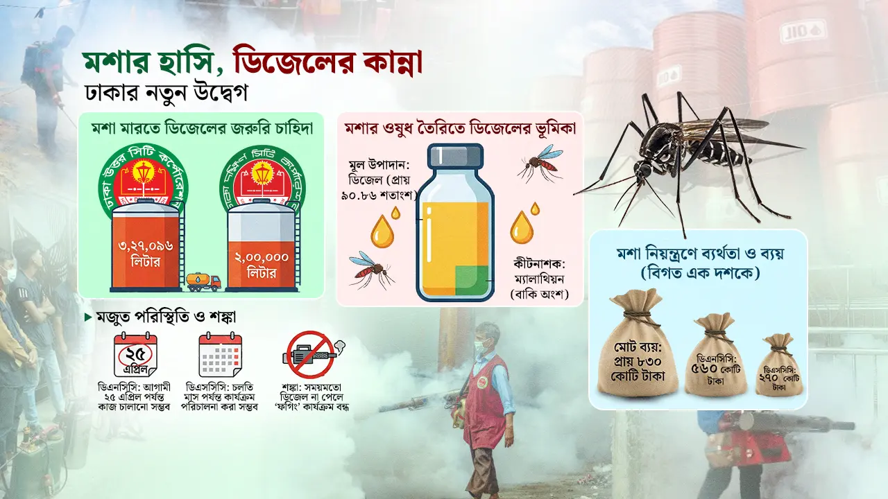 ডিজেলের অভাবে মশা মারার ‘ধোঁয়া’ বন্ধের শঙ্কা, ভোগান্তিতে নগরবাসী