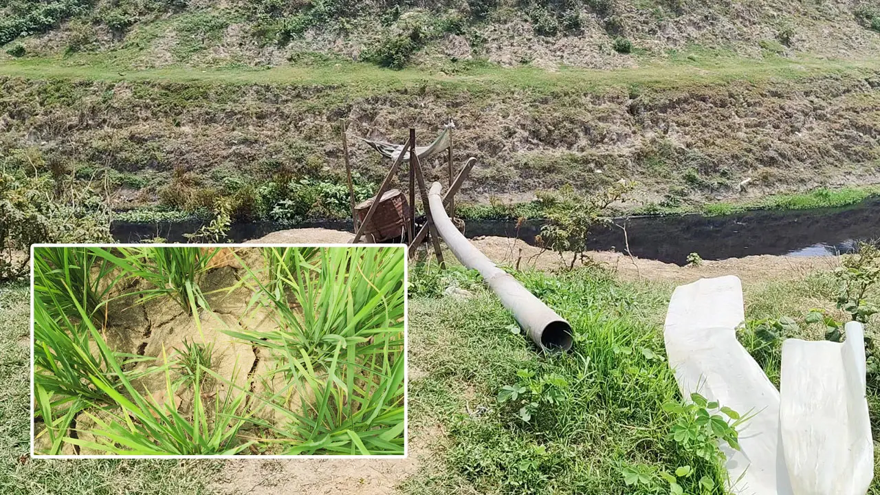 জ্বালানি সংকটে সেচ ব্যাহত, পানির অভাবে জমি ফেটে চৌচির