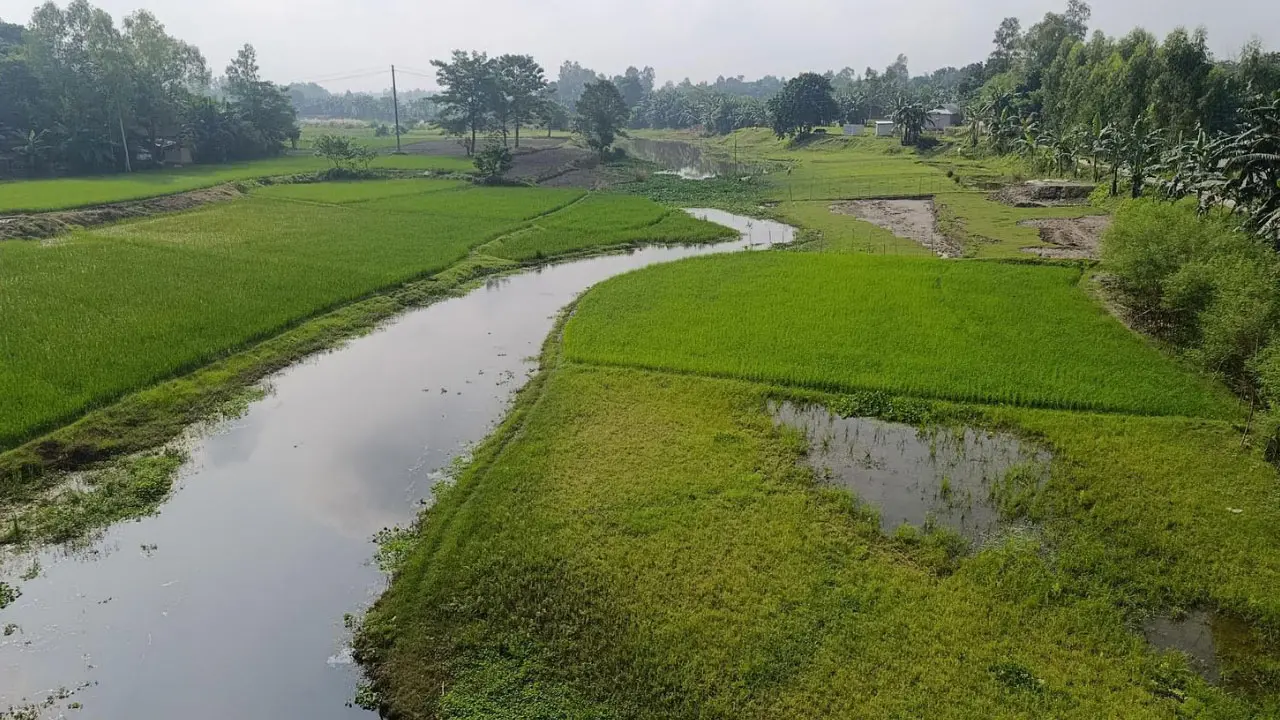 দখল-বর্জ্যে নাব্যতা হারিয়ে খালে রূপ নিয়েছে ঝিনাই নদী