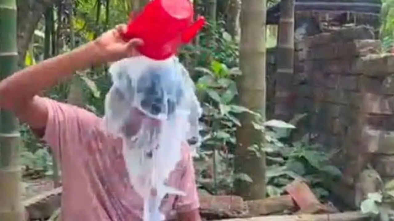 ঘরবাড়ি, জমি হারিয়ে দুধ দিয়ে গোসল করে অনলাইন জুয়া ছাড়লেন যুবক