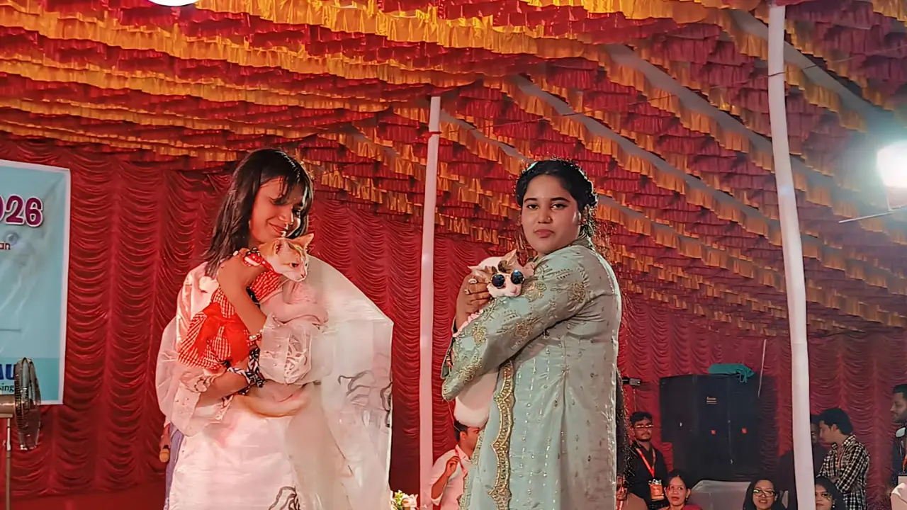 বিশ্ব পোষা প্রাণী দিবসে বাকৃবিতে বর্ণাঢ্য ‘ক্যাট শো’