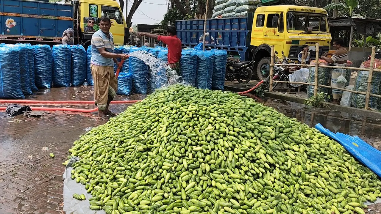 ‘ভাড়া বেশি হওয়ায় পণ্য পাঠানো যাচ্ছে না’