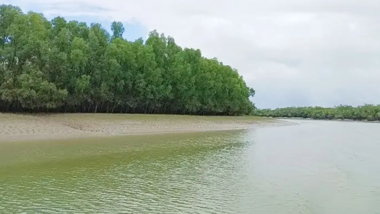 সুন্দরবনে ঝড়ে নৌকাডুবিতে এখনও খোঁজ মেলেনি ৪ জনের