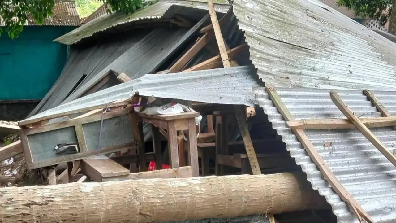 ঝড়ে স্কুলের ওপর গাছ পড়ে দুই শিশু শিক্ষার্থী আহত