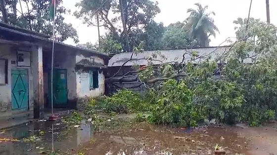 তিন দিন ধরে বিদ্যুৎ-মোবাইল নেটওয়ার্ক বিচ্ছিন্ন, ভোগান্তিতে শাল্লার মানুষ