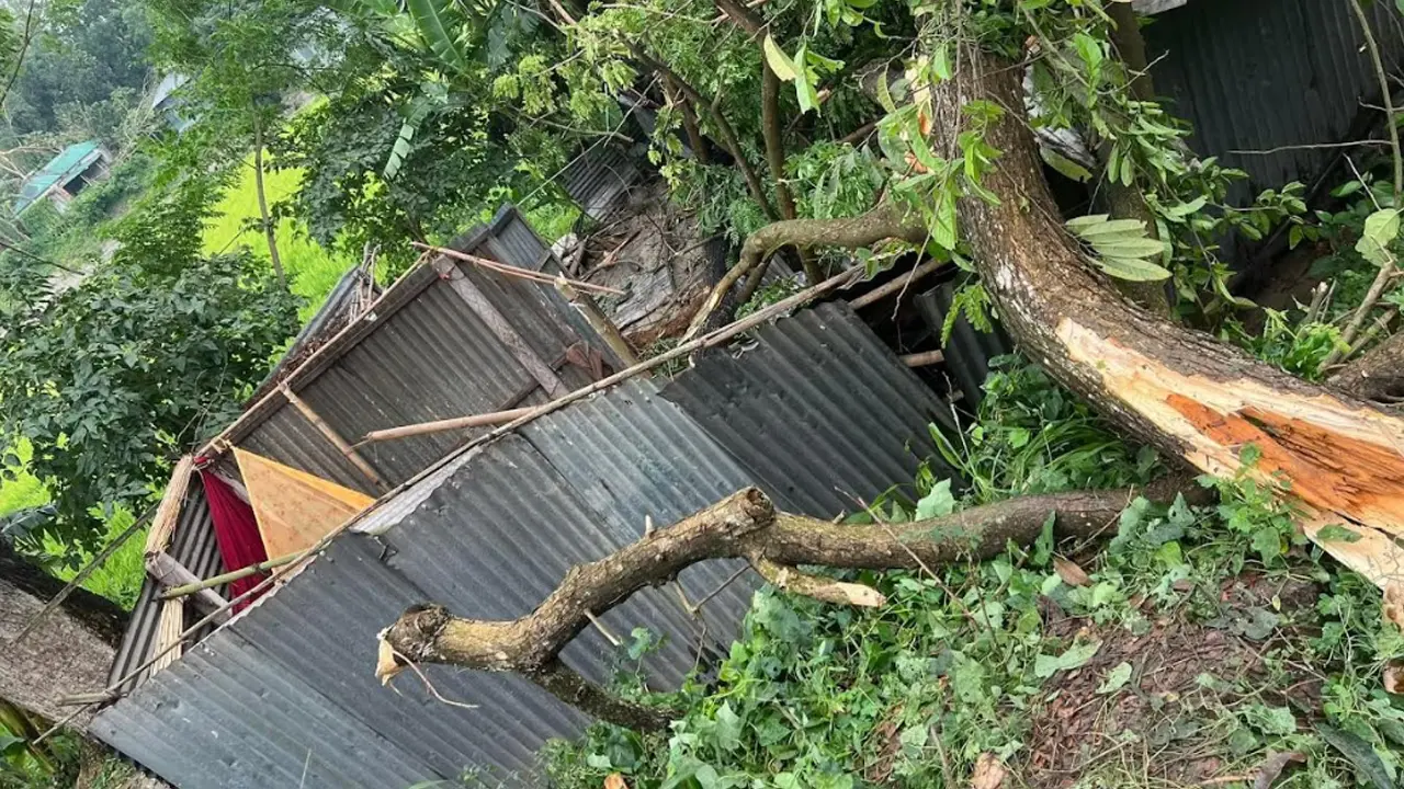 সিরাজগঞ্জে ঝড়ে ঘরের ওপর গাছ পড়ে নারীর মৃত্যু
