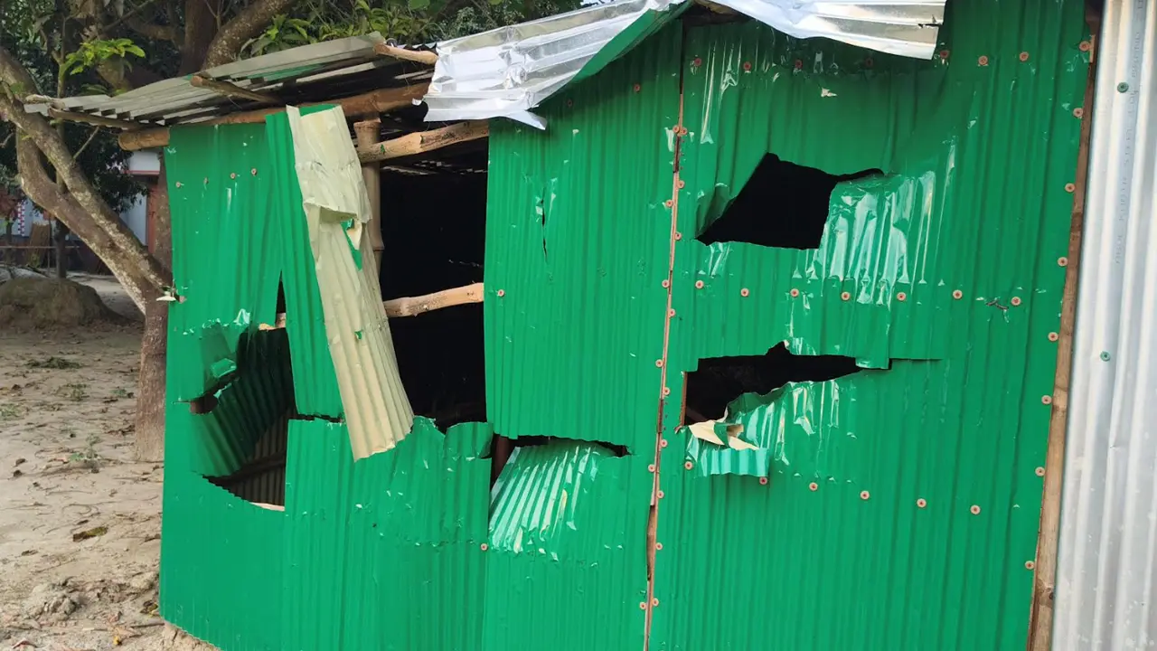 হামলা-মামলার ভয়ে প্রায় পুরুষশূন্য গ্রাম, গবাদিপশু লুটপাটের অভিযোগ