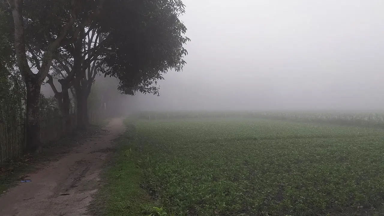 চৈত্রের ভোরে ঘন কুয়াশায় ঢাকা পড়েছে পঞ্চগড়