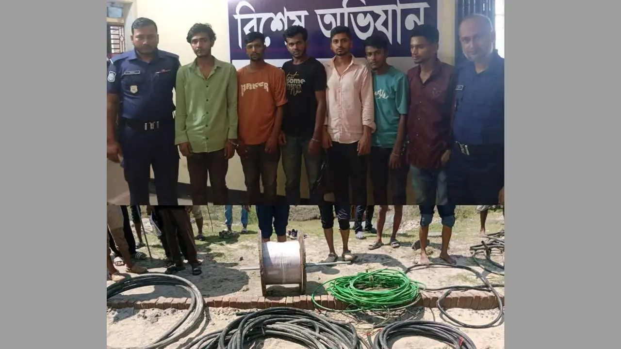 মীরসরাই ইকোনমিক জোনে ডাকাতির ঘটনায় গ্রেপ্তার ৭