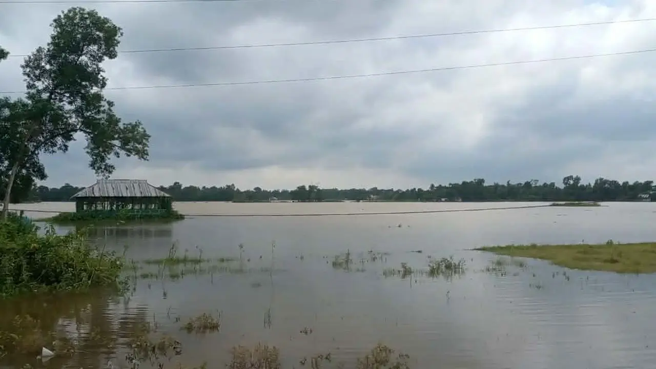 ব্রাহ্মণবাড়িয়ায় উজানের ঢলের পানিতে তলিয়ে গেছে ২৫০ হেক্টর ফসলি জমি