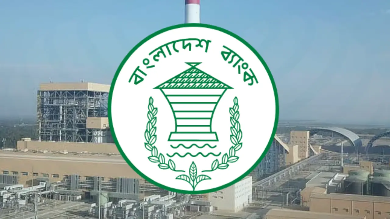 এস আলমের বিদ্যুৎকেন্দ্রকে এলসি খোলার অনুমতি