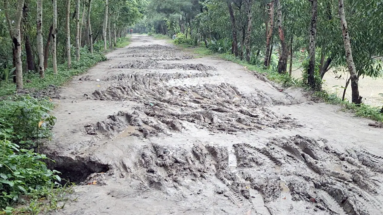 বেড়িবাঁধ উঁচু করতে গিয়ে পাকা রাস্তা কাঁচা, বছরের পর বছর চরম দুর্ভোগ