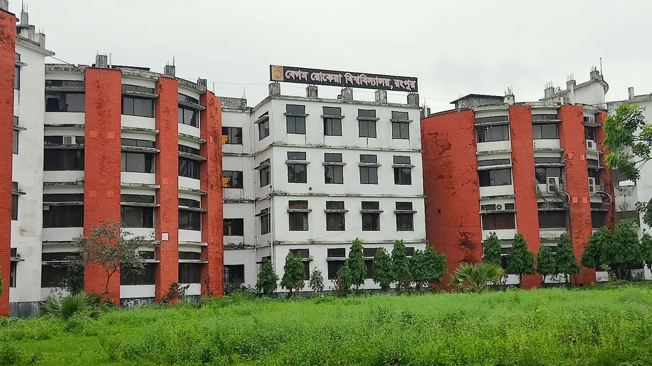 হাসিনাকে ফেরাতে গোপন তৎপরতা: বেরোবির ৭ শিক্ষকের বিরুদ্ধে অনুসন্ধান কমিটি