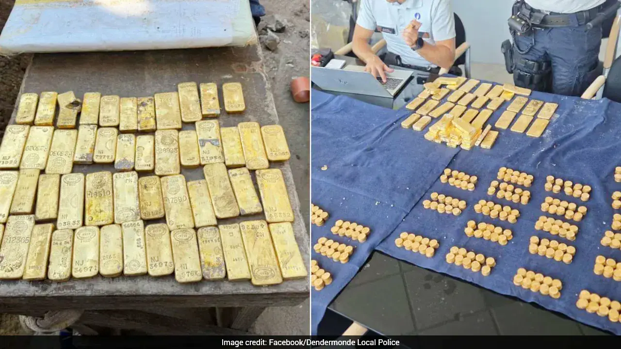 বেলজিয়ামে পয়ঃনিষ্কাশনের নালা খোঁড়ার সময় মিলল ১২৭ কোটি টাকার স্বর্ণ