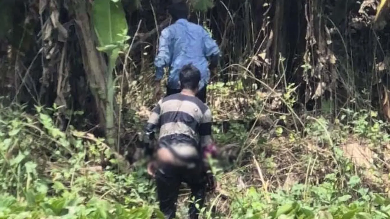 ঝিনাইদহ সীমান্তে ৪ জনকে পুশইনের চেষ্টা, প্রতিহত করল বিজিবি
