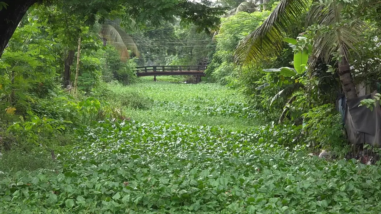 কাজই হয়নি, ফেরত গেল খাল খননের ২ কোটি ৪৮ লাখ টাকা