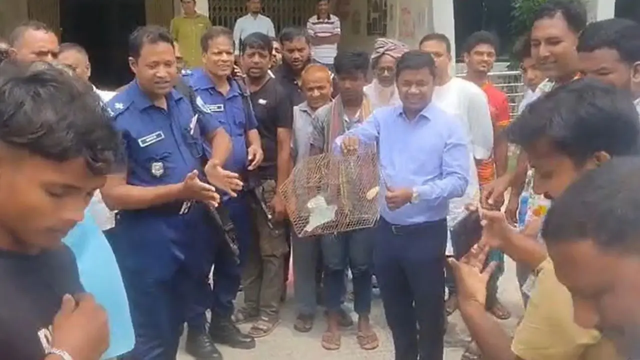 চাঁপাইনবাবগঞ্জে শিকারিকে জরিমানা, উদ্ধারকৃত পাখি অবমুক্ত করলেন ইউএনও