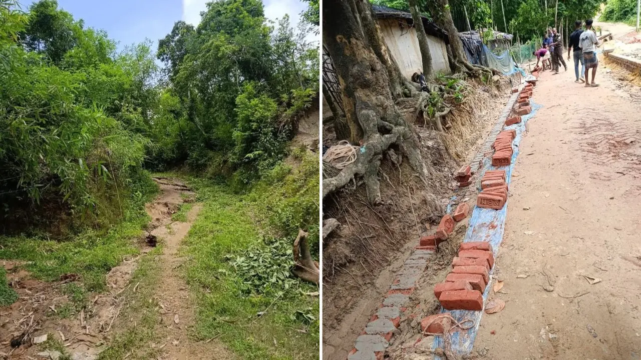 সংরক্ষিত বনভূমিতে সড়ক নির্মাণে হাইকোর্টের নিষেধাজ্ঞা