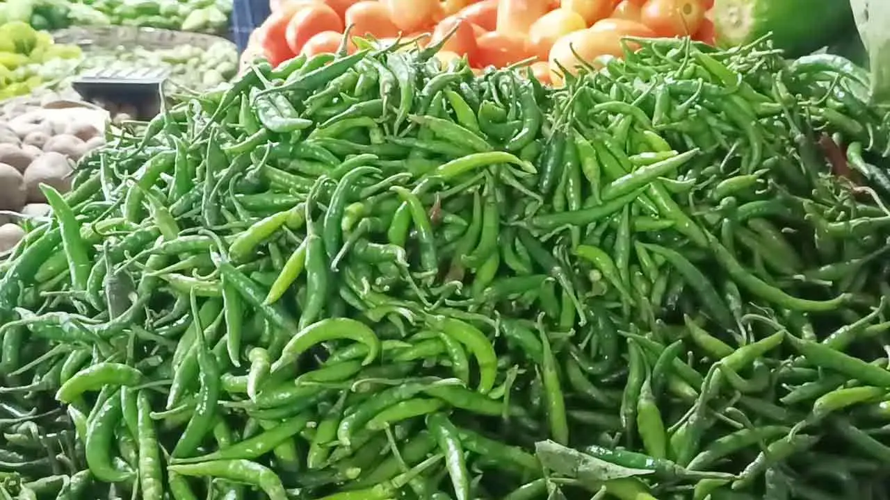 কাঁচামরিচ আমদানির অনুমতি, সোমবার থেকে শুরু কার্যক্রম