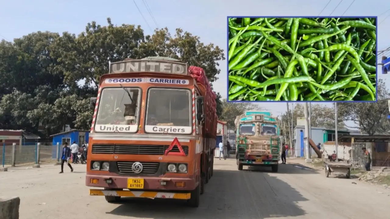 ৯ মাস পর ভোমরা বন্দর দিয়ে এলো ১০০ টন ভারতীয় কাঁচা মরিচ