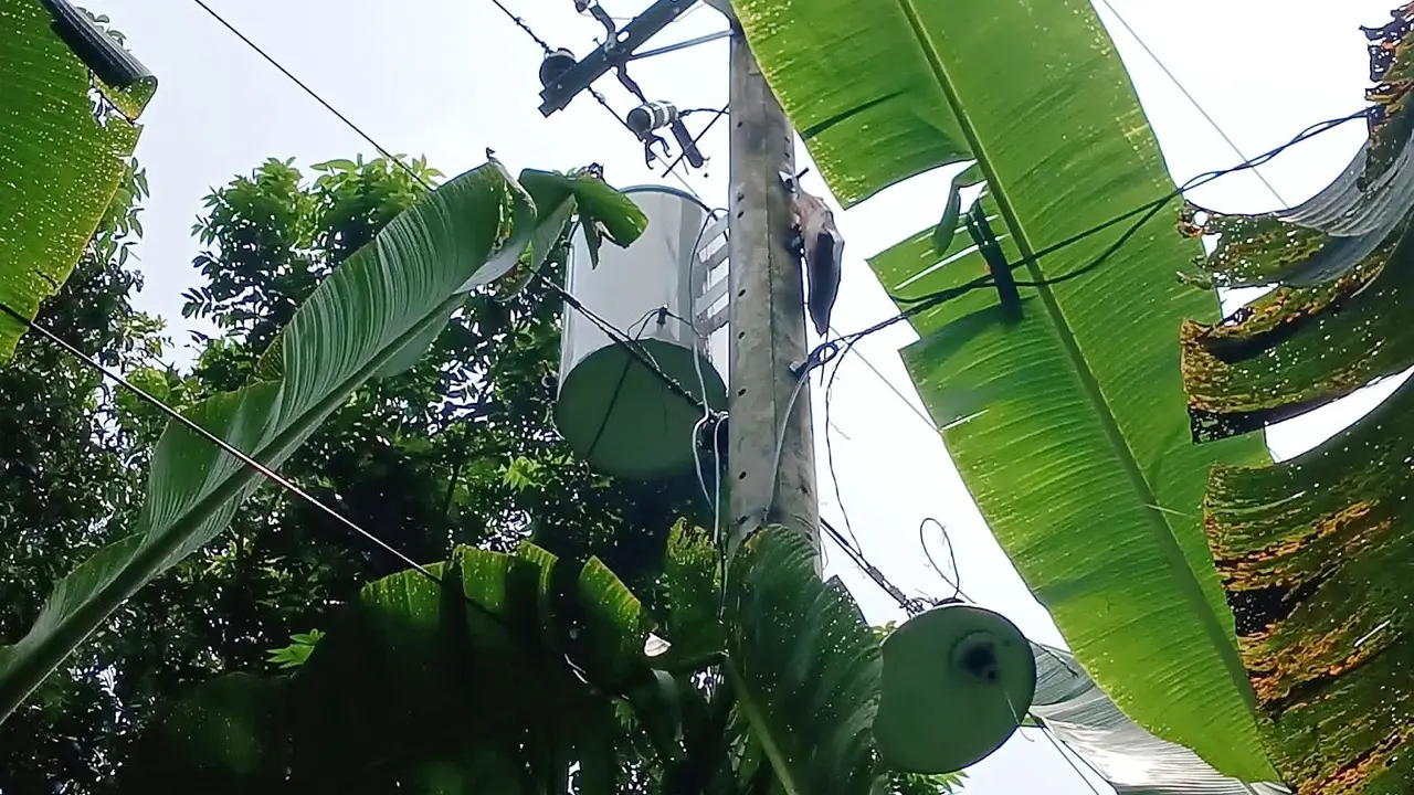 লোডশেডিংয়ের সময় ট্রান্সফরমার চুরির চেষ্টা, হঠাৎ বিদ্যুৎ চলে আসায় আহত চোর