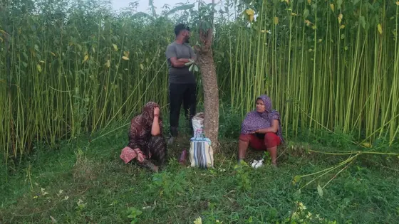 চুয়াডাঙ্গা সীমান্তে ৩ জনকে পুশইনের চেষ্টা, প্রতিহত করল বিজিবি