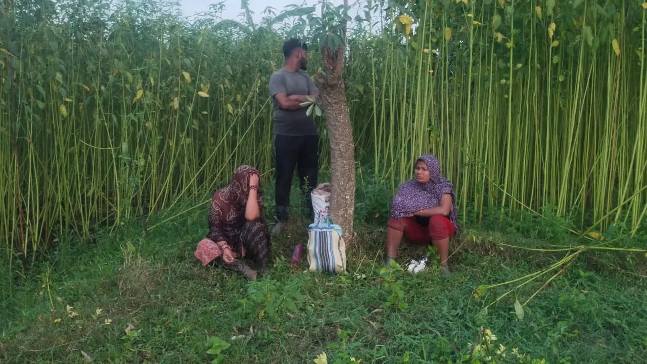 চুয়াডাঙ্গা সীমান্তে ৩ জনকে পুশইনের চেষ্টা, প্রতিহত করল বিজিবি