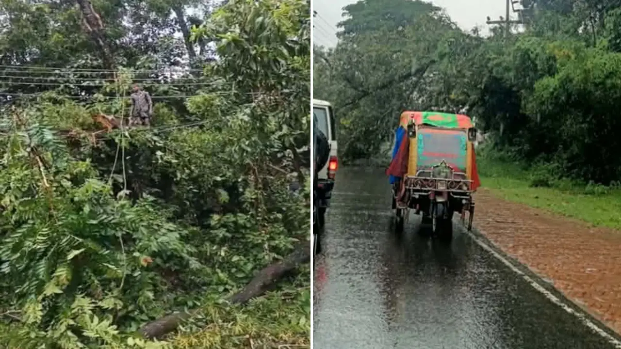 লাইনের ওপর ভেঙে পড়েছে গাছ, উখিয়া-টেকনাফে বিদ্যুৎ সরবরাহ বন্ধ
