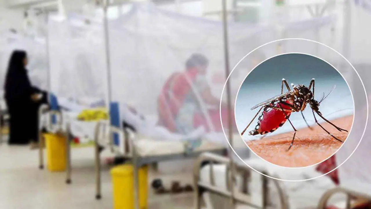 ডেঙ্গুতে আরও ২ মৃত্যু, আক্রান্ত ৬৭১