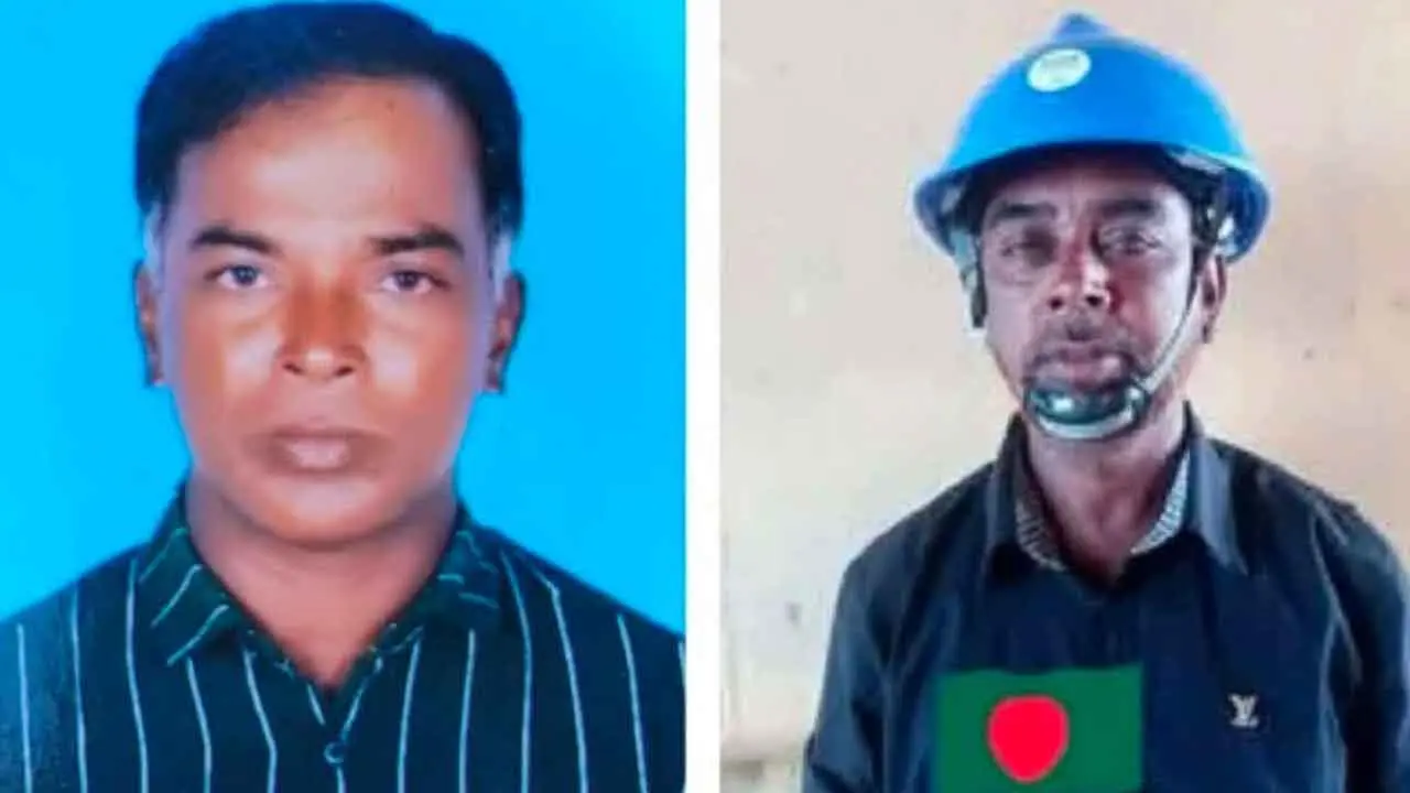 ছুটির দিনে কাজে গিয়ে লাশ হয়ে ফিরলেন দুই ভাই