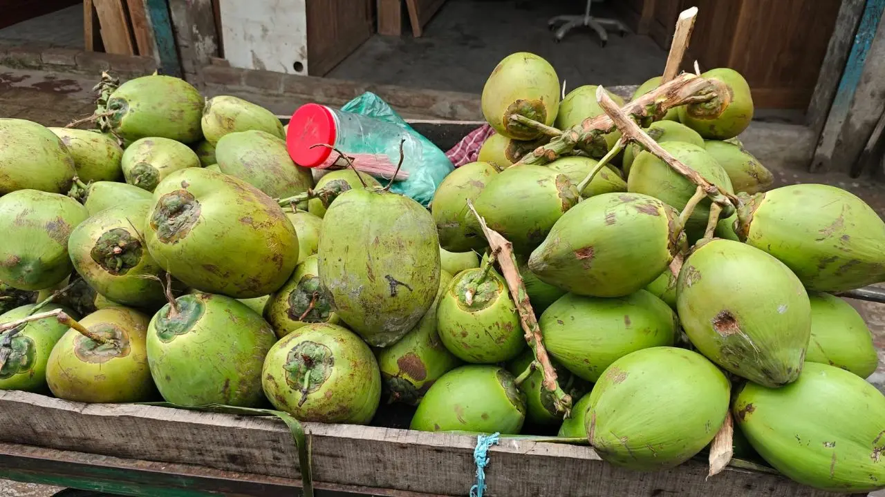 ডাবসহ দেশি-বিদেশি সব ফলের দাম বাড়তি
