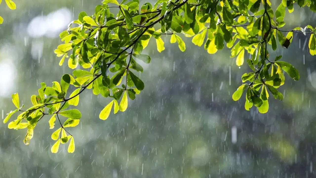 সারাদেশে বৃষ্টির আভাস