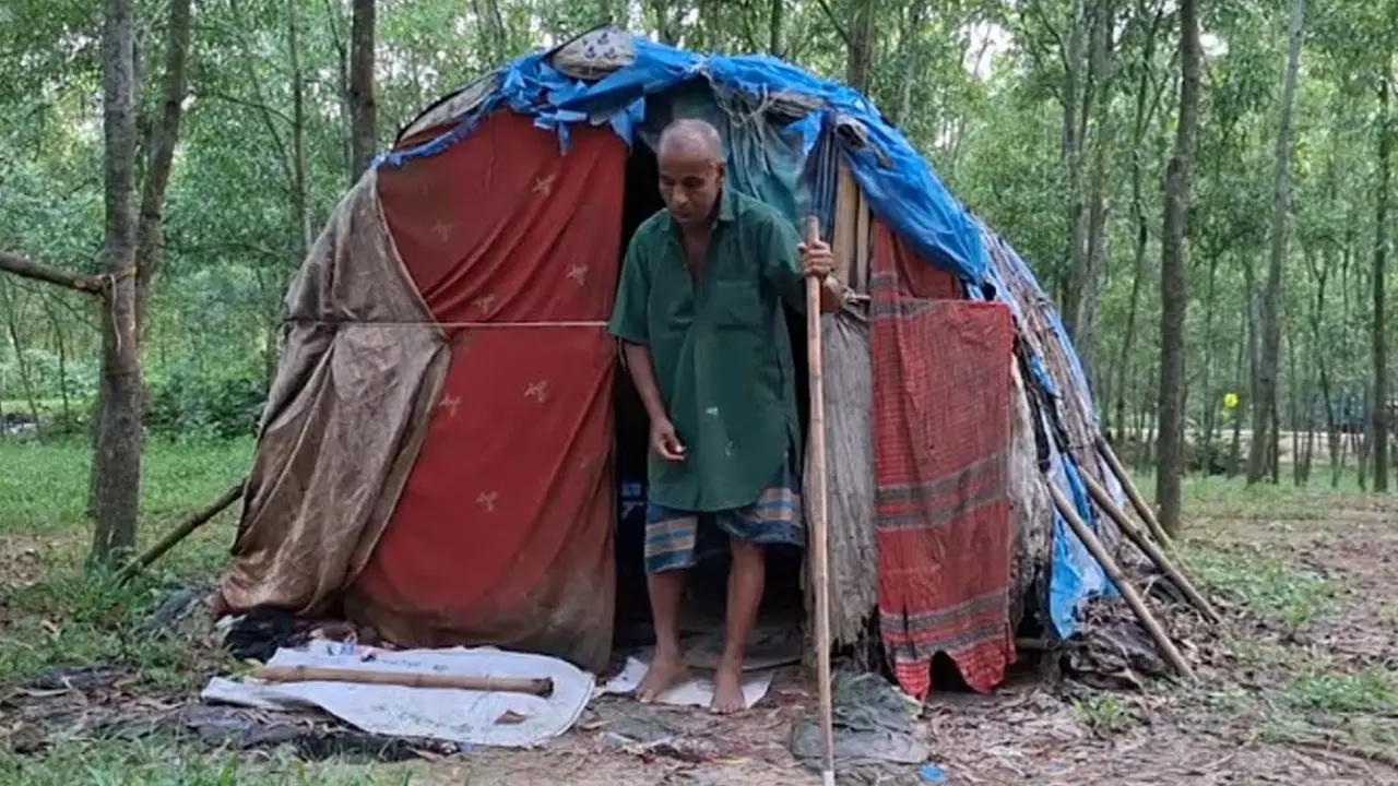 জঙ্গলের ঝুপড়িতে ফালু মিয়ার অসহায় জীবন-যাপন