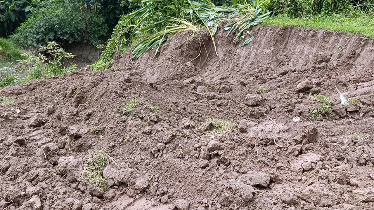 রাতের আঁধারে নদীর চর কেটে মাটি নিলো ইটভাটায়, থানায় অভিযোগ