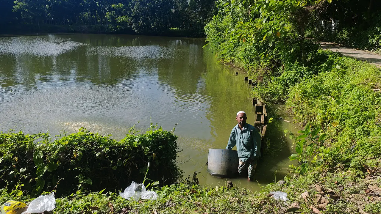 নিজের তৈরি খাবারে মাছ চাষে কালামের সফলতা