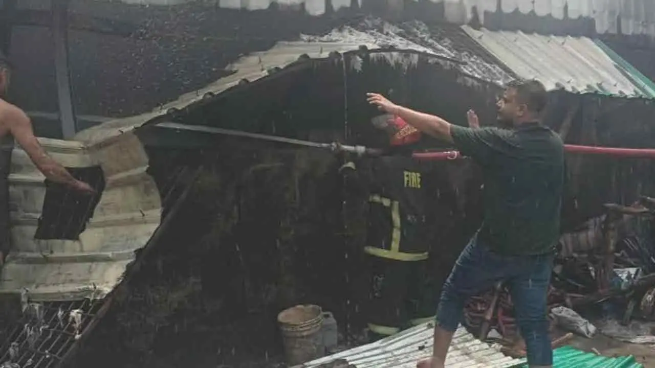বাসাবোতে ঝুট তুলার গোডাউনে আগুন