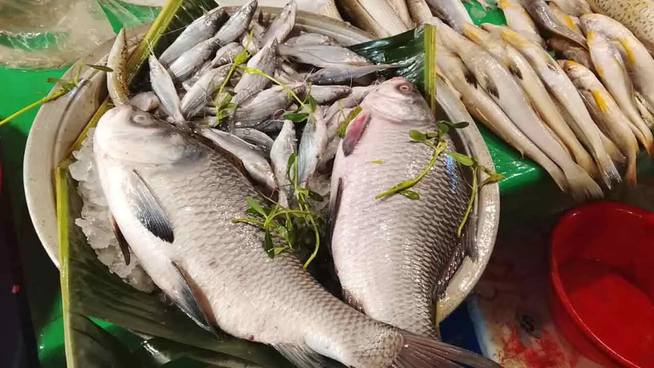 চট্টগ্রামে মিঠা পানির মাছের বাজারে আগুন, সরবরাহ নেমেছে অর্ধেকে