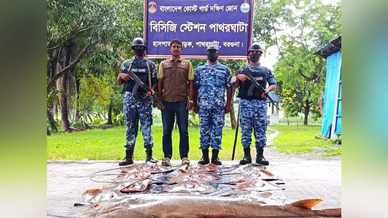 বরগুনায় ১৭ লাখ টাকা মূল্যের শাপলা পাতা ও গিটার মাছ উদ্ধার