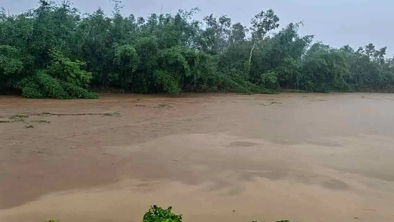 আগস্টে টানা বৃষ্টি ও বন্যার আভাস, সাগরে একাধিক লঘুচাপের শঙ্কা